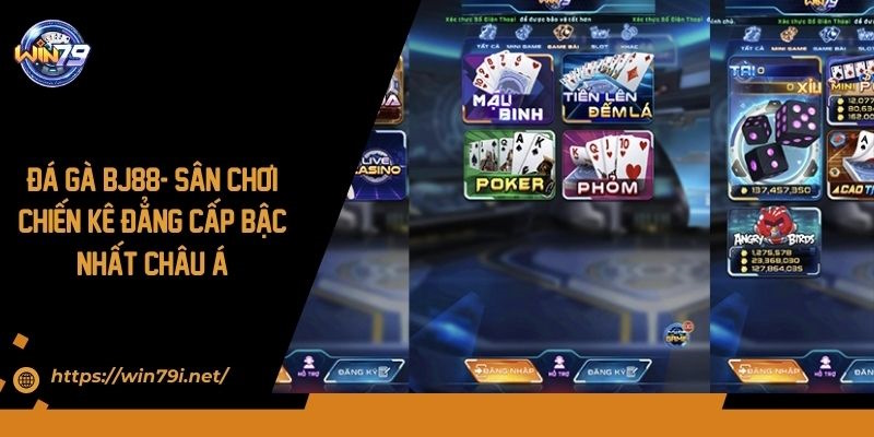 Đá Gà Bj88- Sân Chơi Chiến Kê Đẳng Cấp Bậc Nhất Châu Á