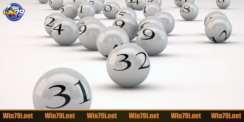 Hình thức nuôi khung đánh trong ngày hiệu quả