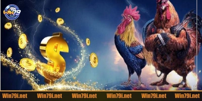 Giới thiệu khái lược về đá gà 88